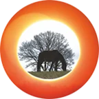 Logo von Gnadenbrothof Ziegenhain e.V.