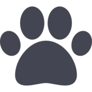 Logo von Hand und Pfote Lohfelden e.V.