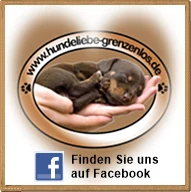 Logo von Hundeliebe-grenzenlos e.V.