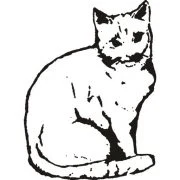 Logo von Katzenhilfe-Westerwald e.V.