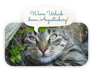 Logo von Katzenpension Augustusburg