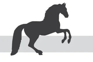 Logo von Kölner Schutzhof für Pferde, Tierschutz und Umwelt e.V.