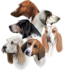 Logo von Laufhunderettung Deutschland e.V.