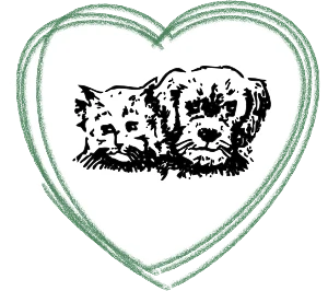 Logo von Matthias-Neelen-Tierheim e.V.