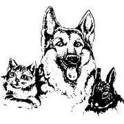 Logo von Tierheim Meißen