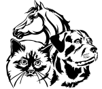 Logo von Tierheim Niedergrafschaft