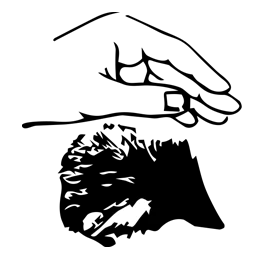 Logo von Tierheim Wolmirstedt