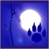 Logo von Tierhilfe Bluemoon Pfötchenfreunde e.V.