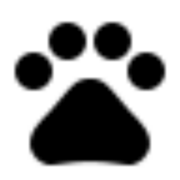 Logo von Tiernothilfe-Schwalmstadt e.V.