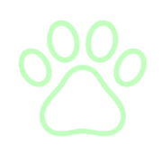 Logo von Tierschutz Aurich e.V. und Tierheim