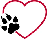 Logo von Tierschutzpfötchen