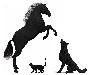 Logo von Tierschutzverein-Arnstadt e. V.