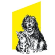 Logo von Tierschutzverein für Gelsenkirchen und Umgebung e.V. 1880