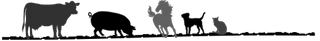 Logo von Tierschutzverein Harlingerland e.V.