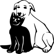 Logo von Tierschutzverein Tierheim Falkensee und Umgebung e.V.