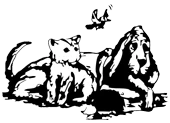 Logo von Tierschutzverein Weißenhorn e. V.