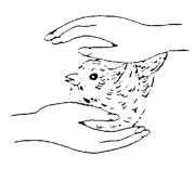 Logo von Tierstation Johanna Winterkamp