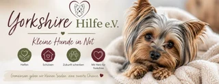 Logo von Yorkshire Hilfe e.V.